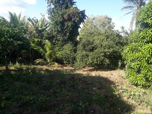 Terreno medição 28/40 - Foto 4