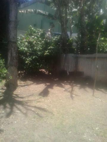 Vende-se uma casa em Santo Antônio