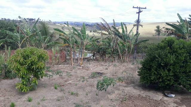 Chácara com linda casa dentro - Foto 5