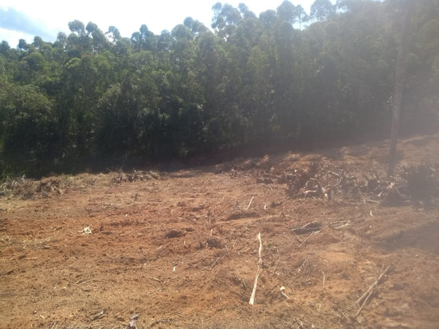 Valor de lançamento- Terreno em Pinhalzinho - Foto 2