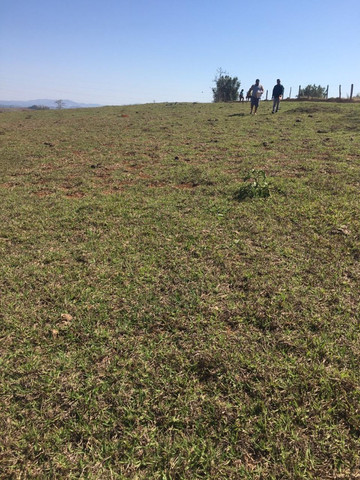 Y03-Lotes para construção de chácaras - Foto 3
