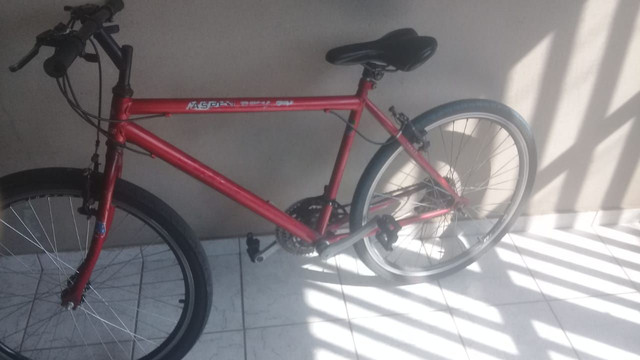Caloi Aspen