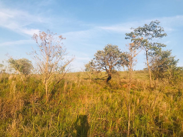 L238- Terreno bom e barato só aqui !!!! - Foto 6