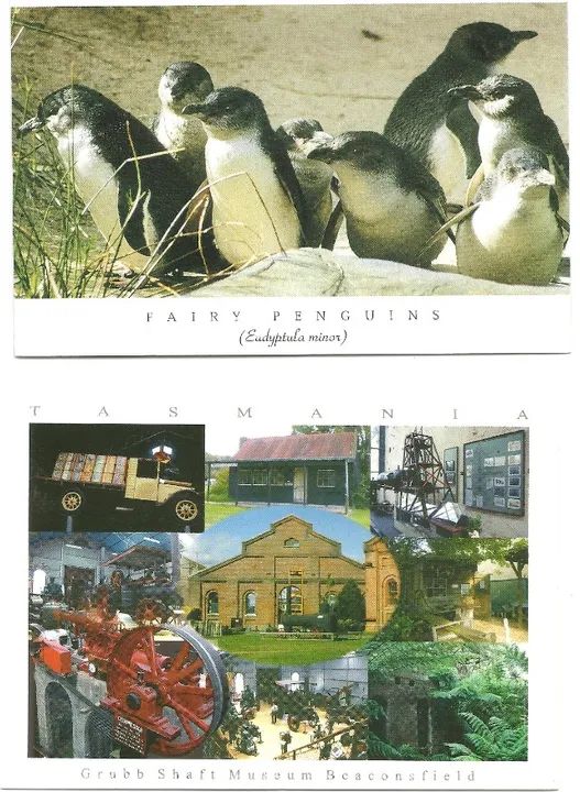 coleção Cartão Postal da TANSMANIA 2 lindos cartões conforme imagens originais post 027