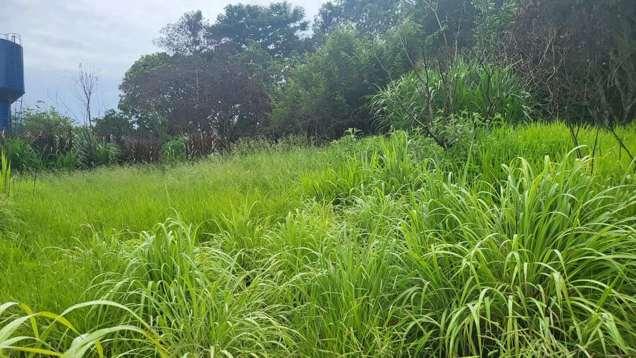 Ex chácara em planaltina df - Foto 10