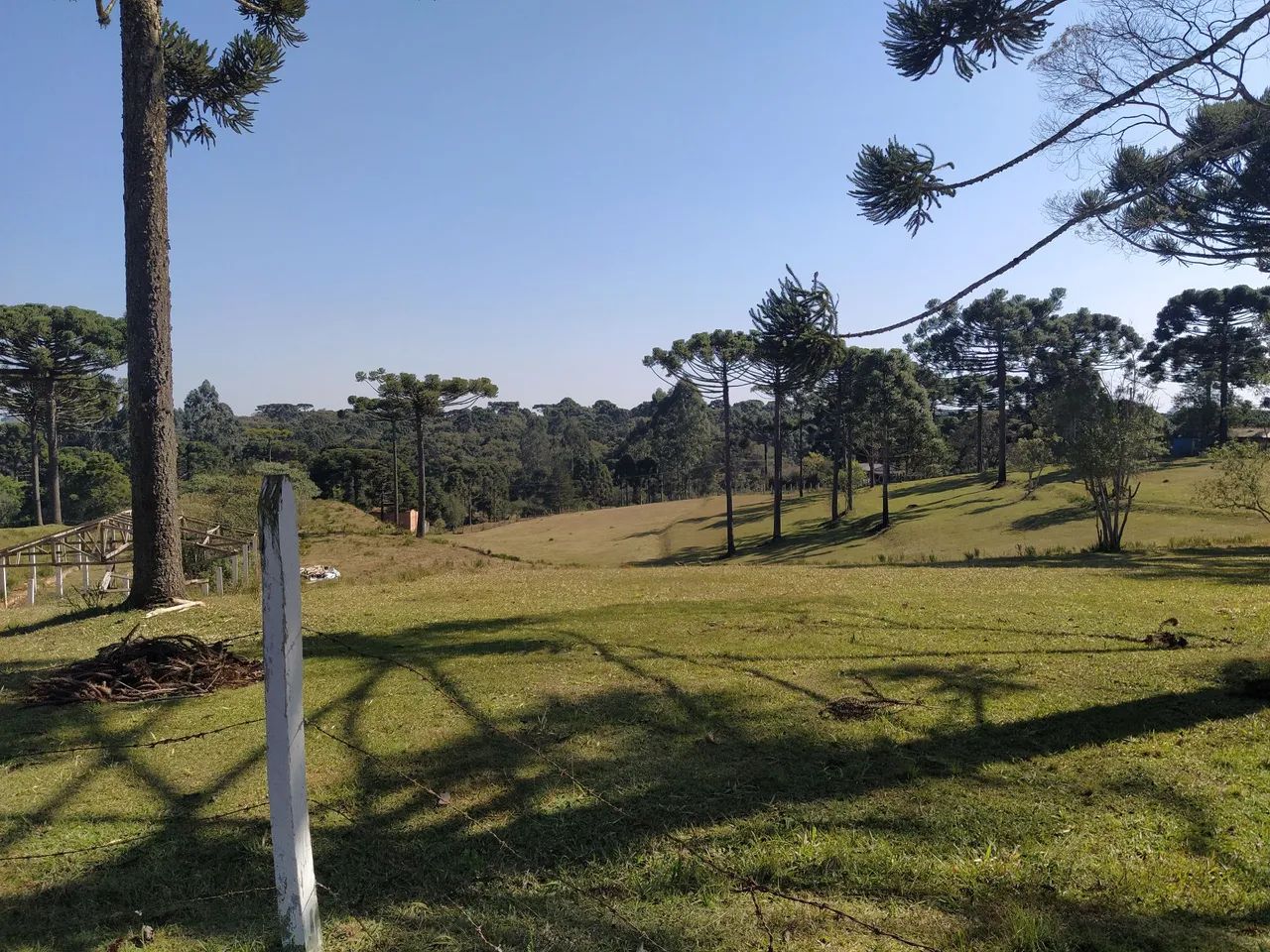 Paraíso do sul  - Foto 5