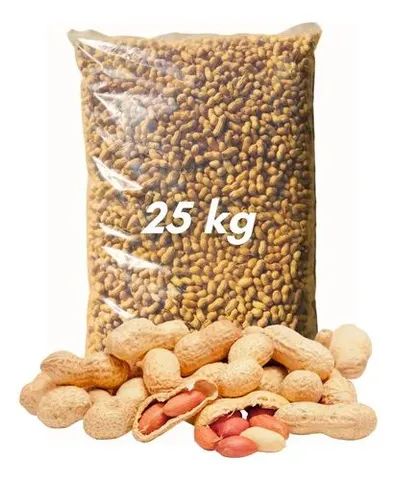 Amendoim cru com casca saco com 10 kg - Foto 3