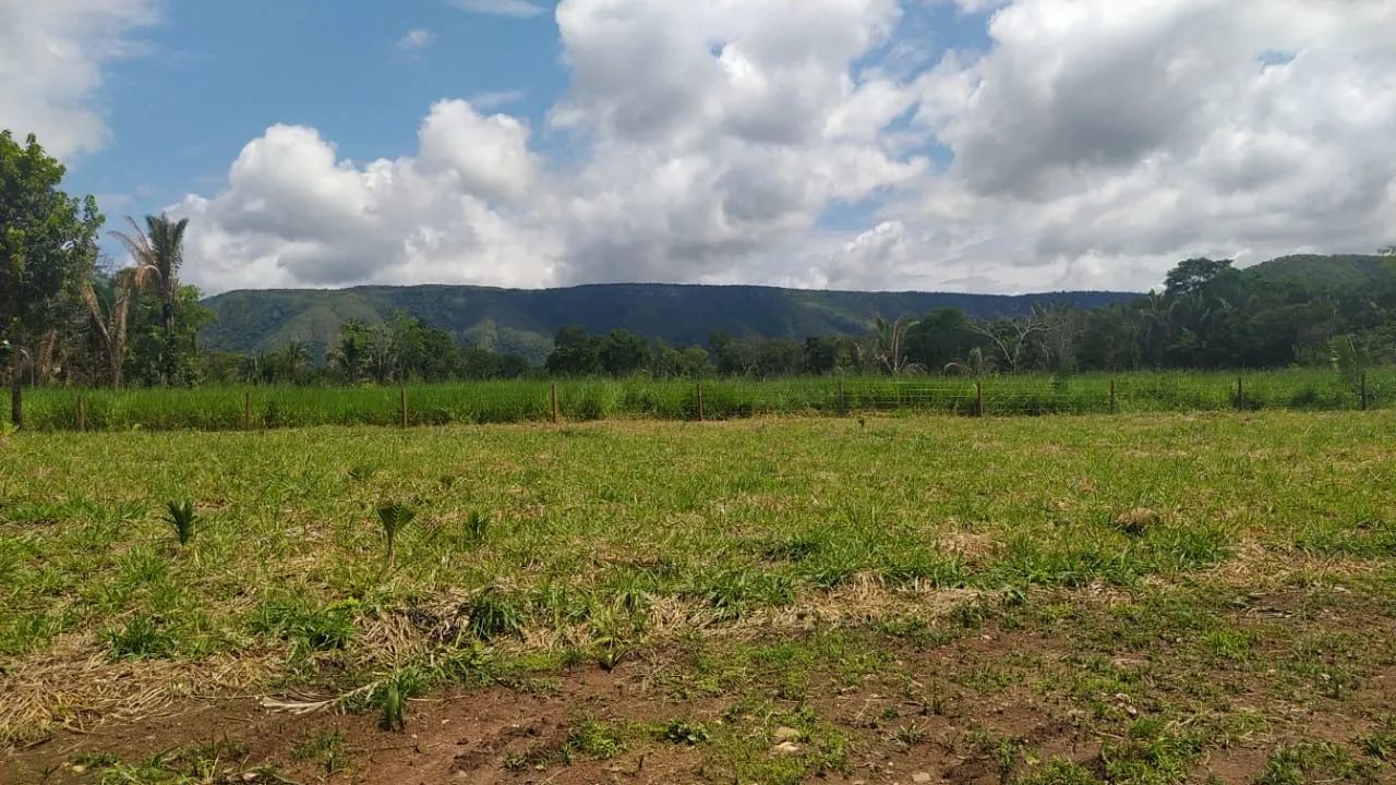 SÍTIO RANCHO PARAÍSO COM BEIRA DE RIO ARICÁ - Foto 14