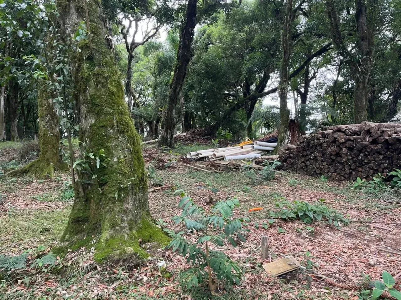 Terreno em Condomínio - Bairro Centro - Foto 4