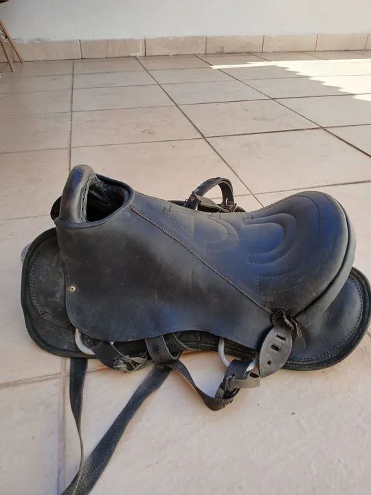 Cela mangalarga zera  - Foto 3