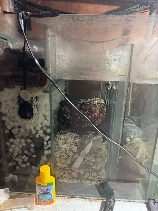 Aquário 200x50x60 com móvel e sump - Foto 4