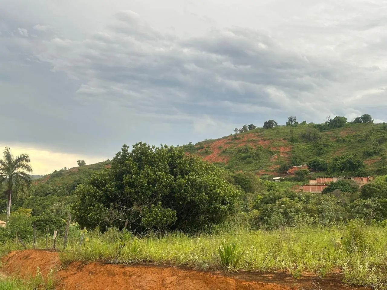 Lote 1.000 m² brauninha - Foto 3