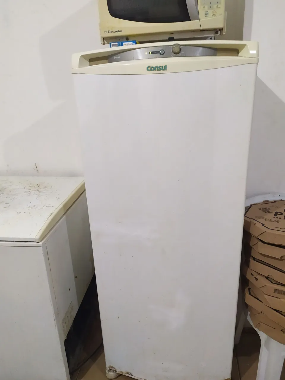 Freezer vertical