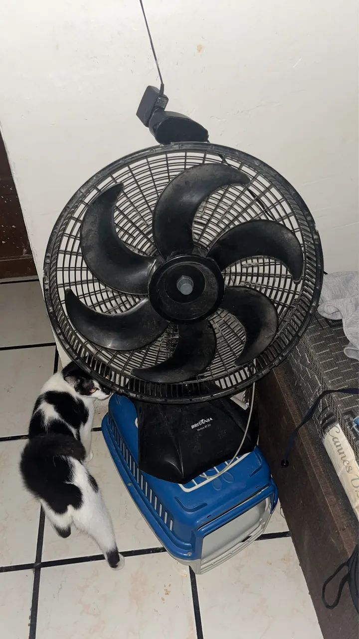 Ventilador 64739863826818120