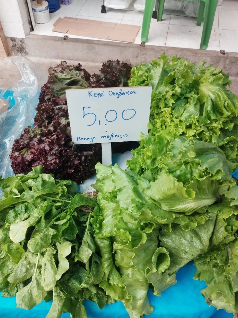 Produtos orgânicos(manejo orgânico)