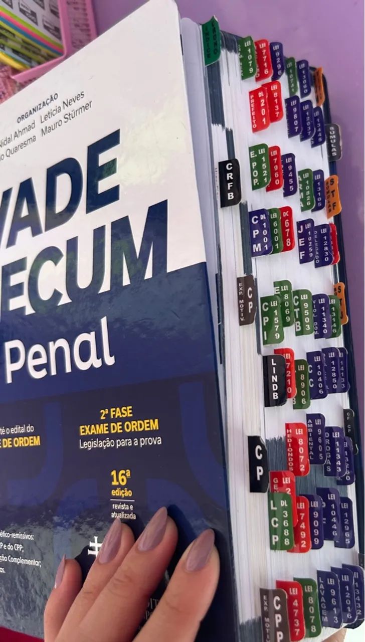 Vade Mecum Penal Ceisc - Exame 42