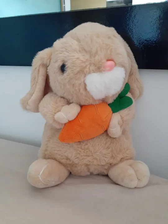 Coelhinho de Pelúcia com Cenoura