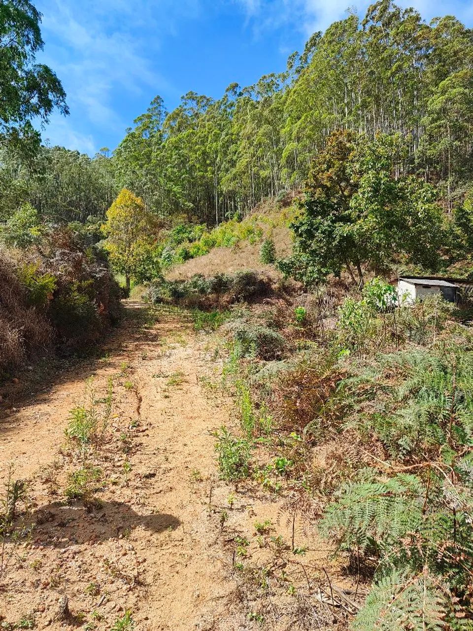 Sítio nas Montanhas 22.000m² - Foto 3