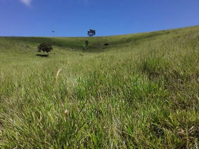 foto - Taubaté - Vila São Carlos