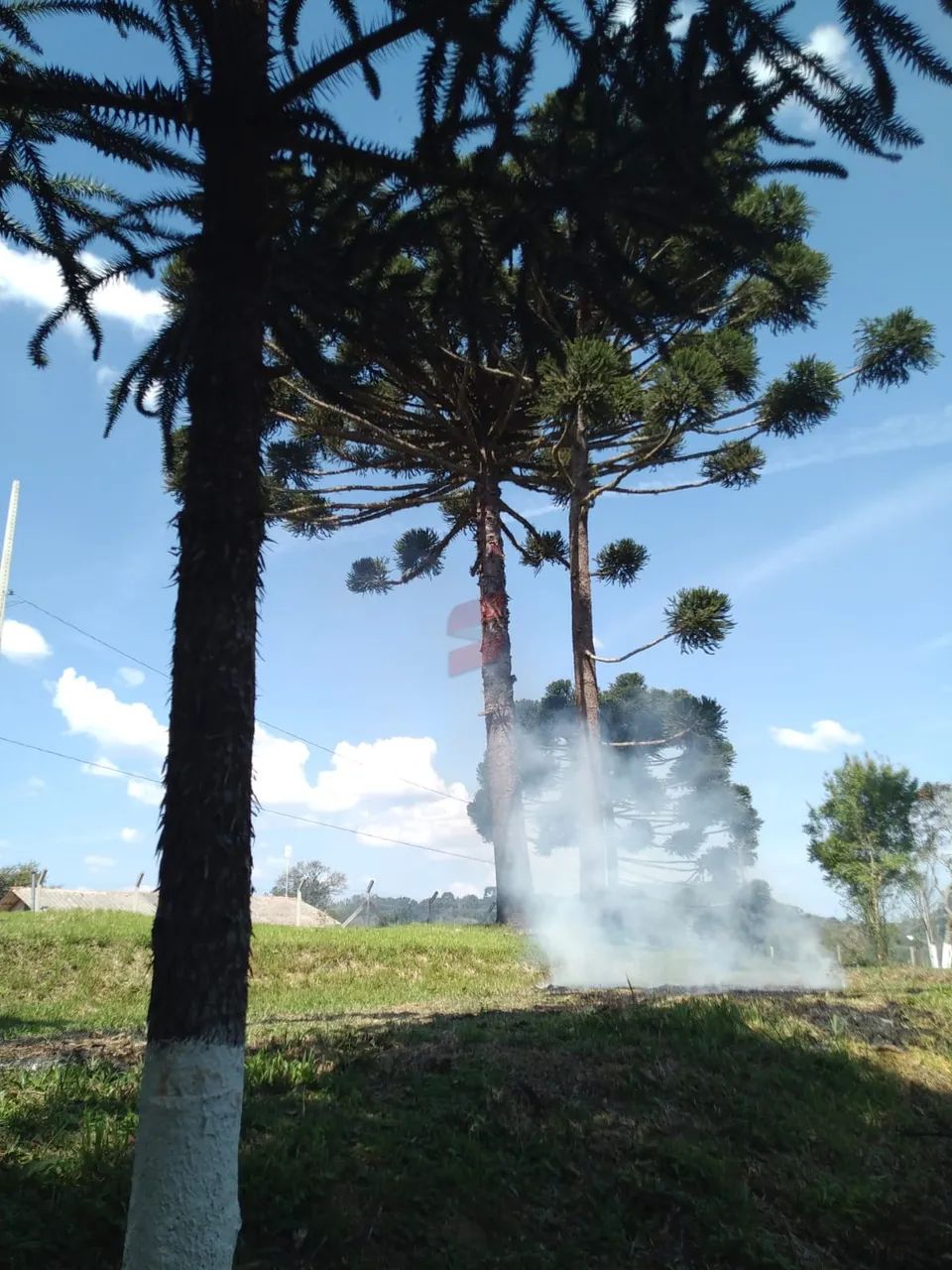 CHÁCARA à venda com 4840m² por R$ 110.000,00 no bairro Areia Branca - MANDIRITUBA / PR - Foto 8