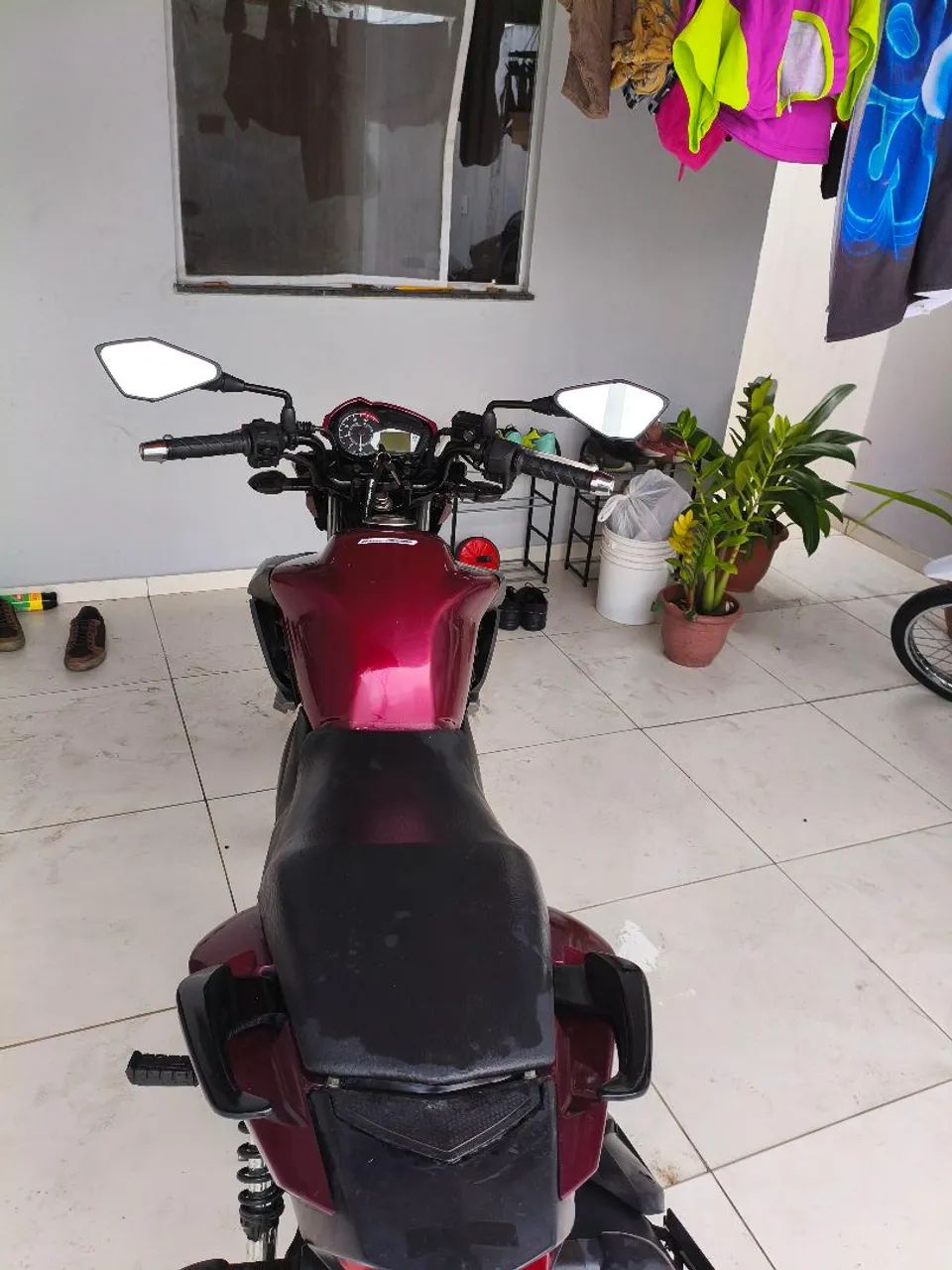 Conservadissima  - Foto 2