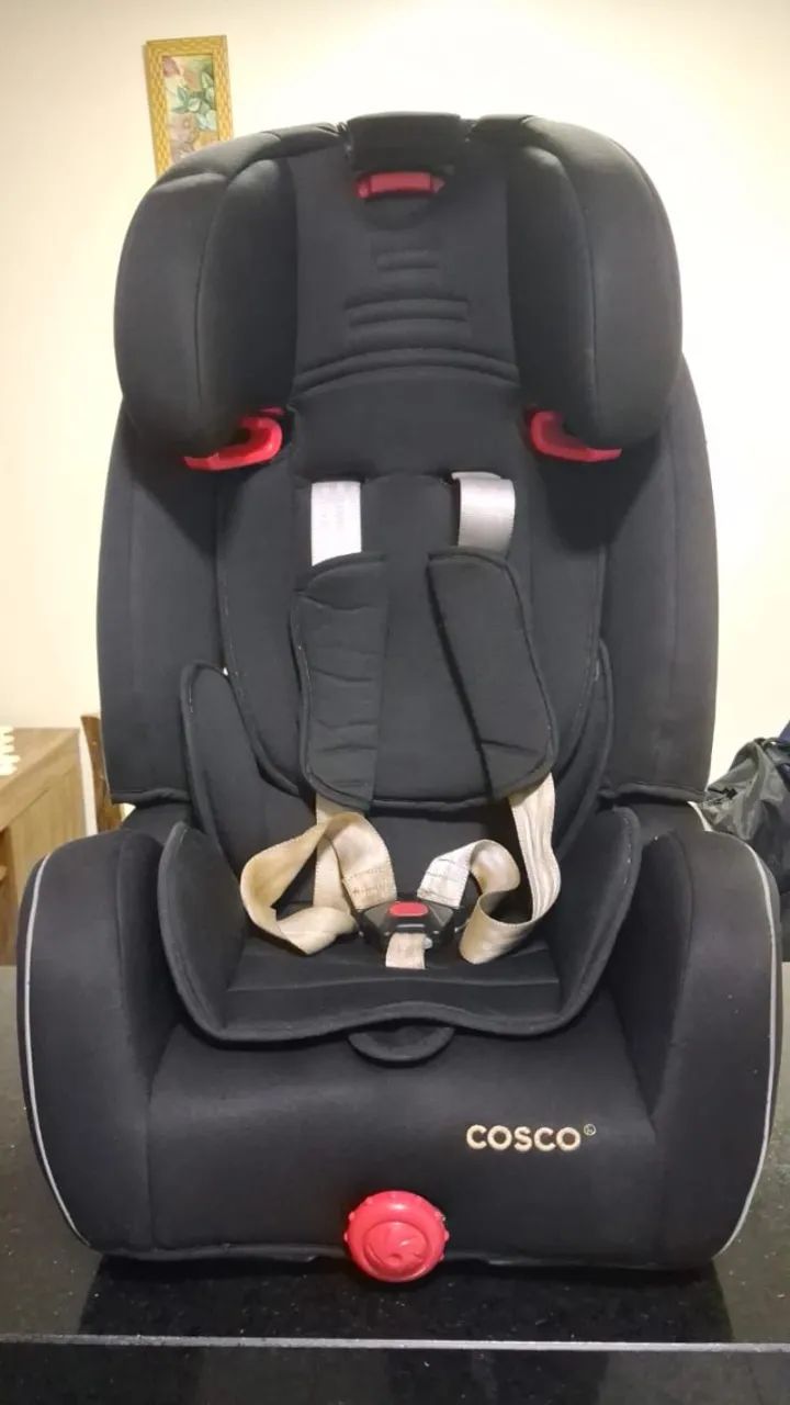 Ipss Addis When To Move To Front Facing Car Seat Ipss Addis