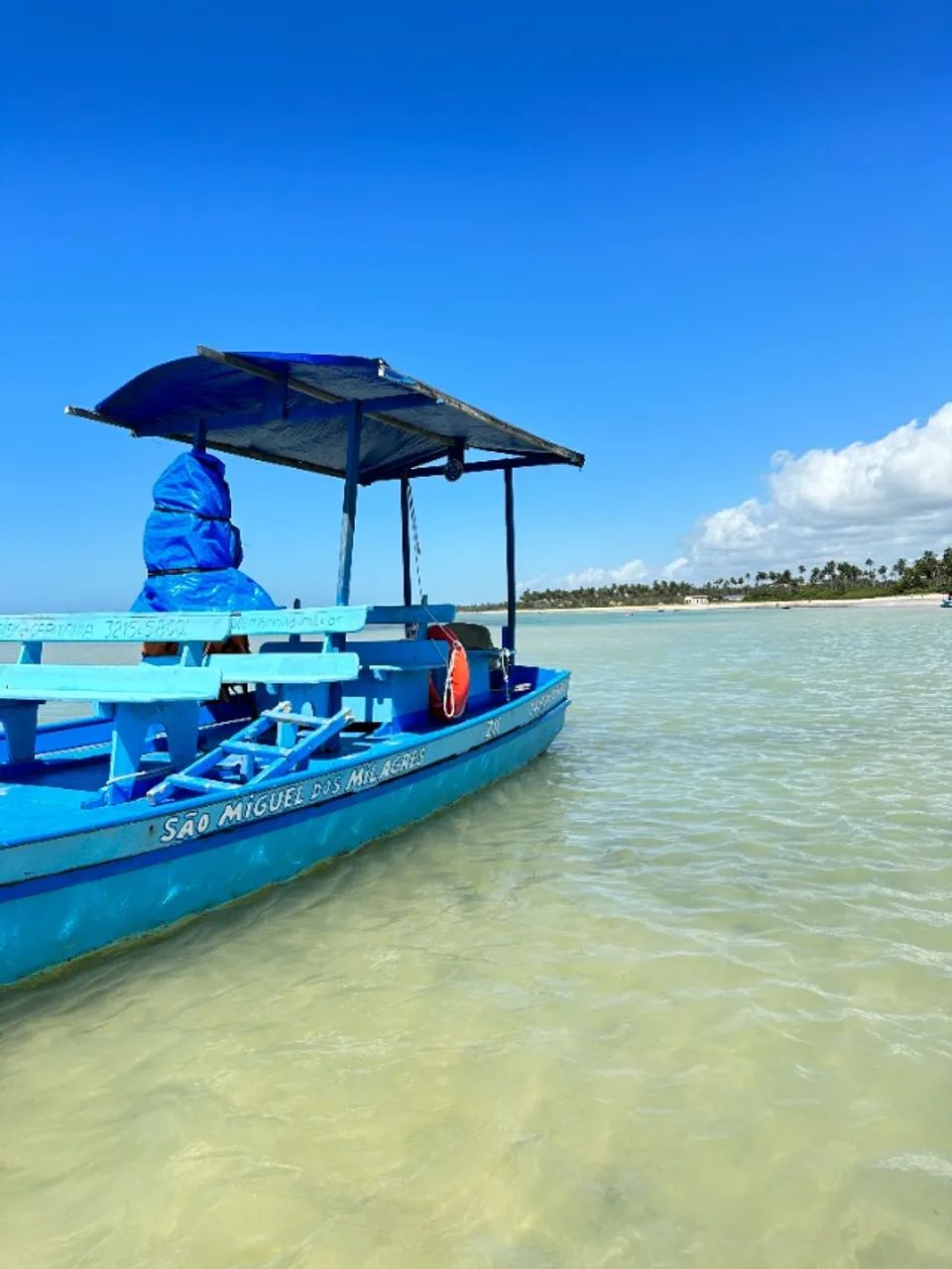 TERRENO DE 1.268M² NA PRAIA DO RIACHO - SÃO MIGUEL DOS MILAGRES - Foto 5