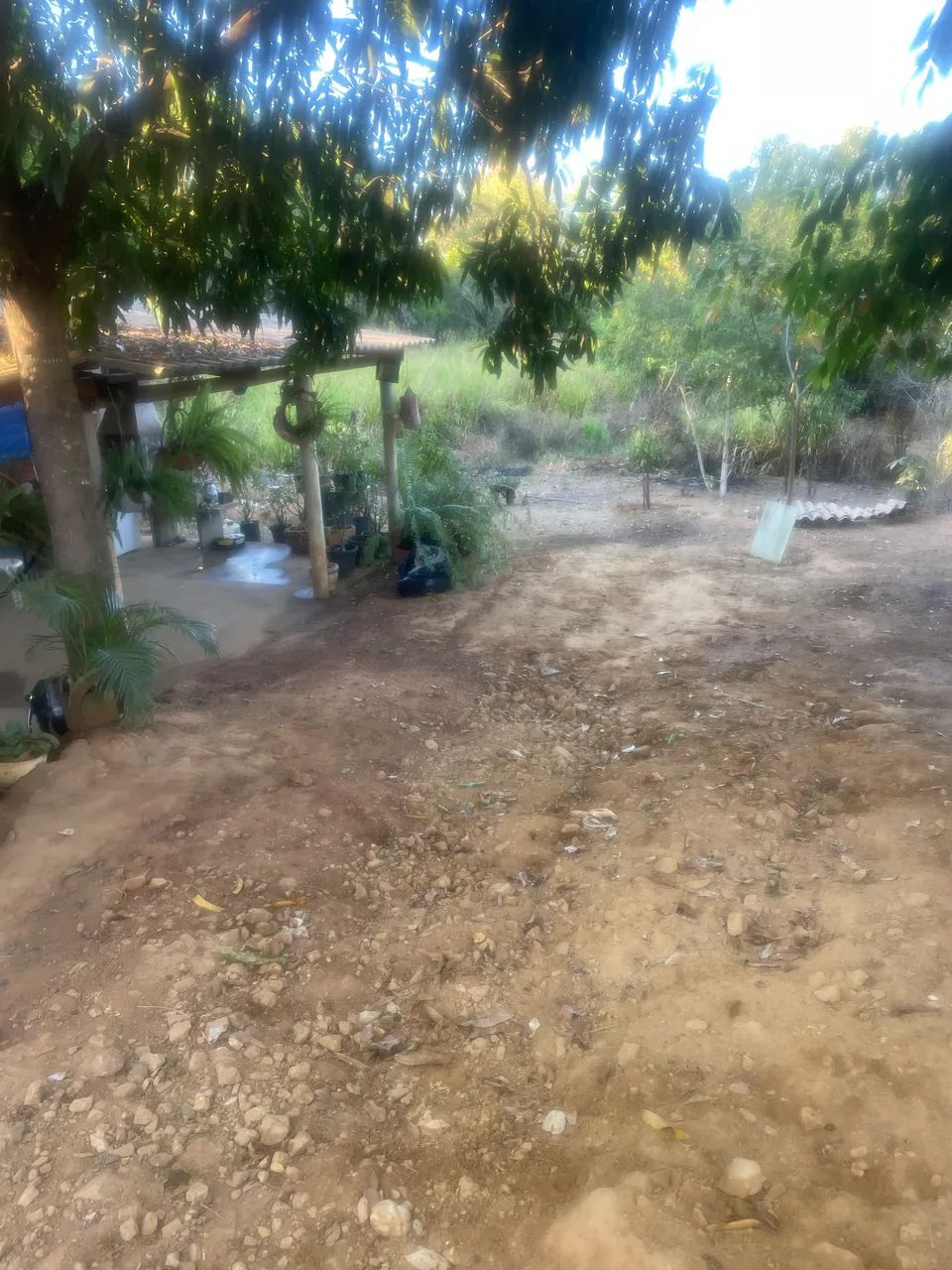 Chácara  - Foto 2