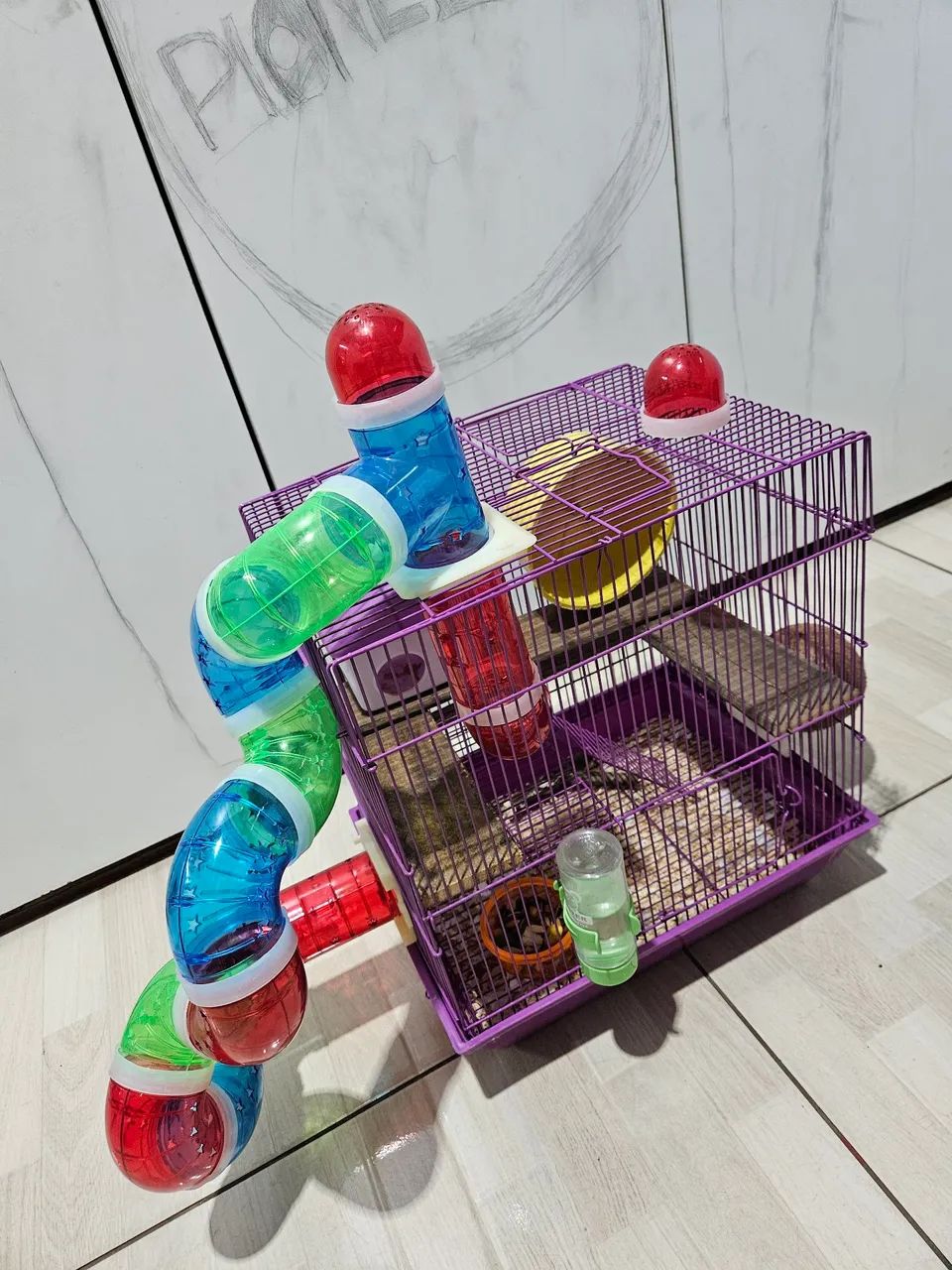 Hamster com gaiola