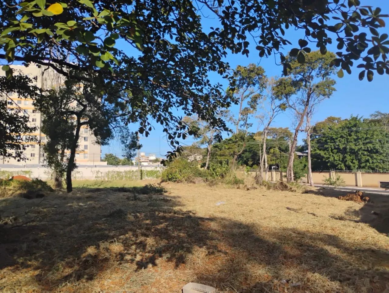Terreno Padrão em Bauru - Foto 3