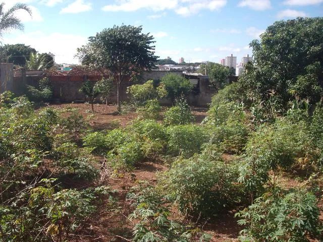 Terreno Padrão em Uberlândia
