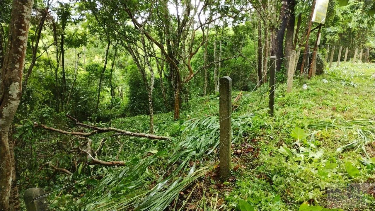 Terreno avenda bairro Jurere Florianópolis SC. - Foto 2