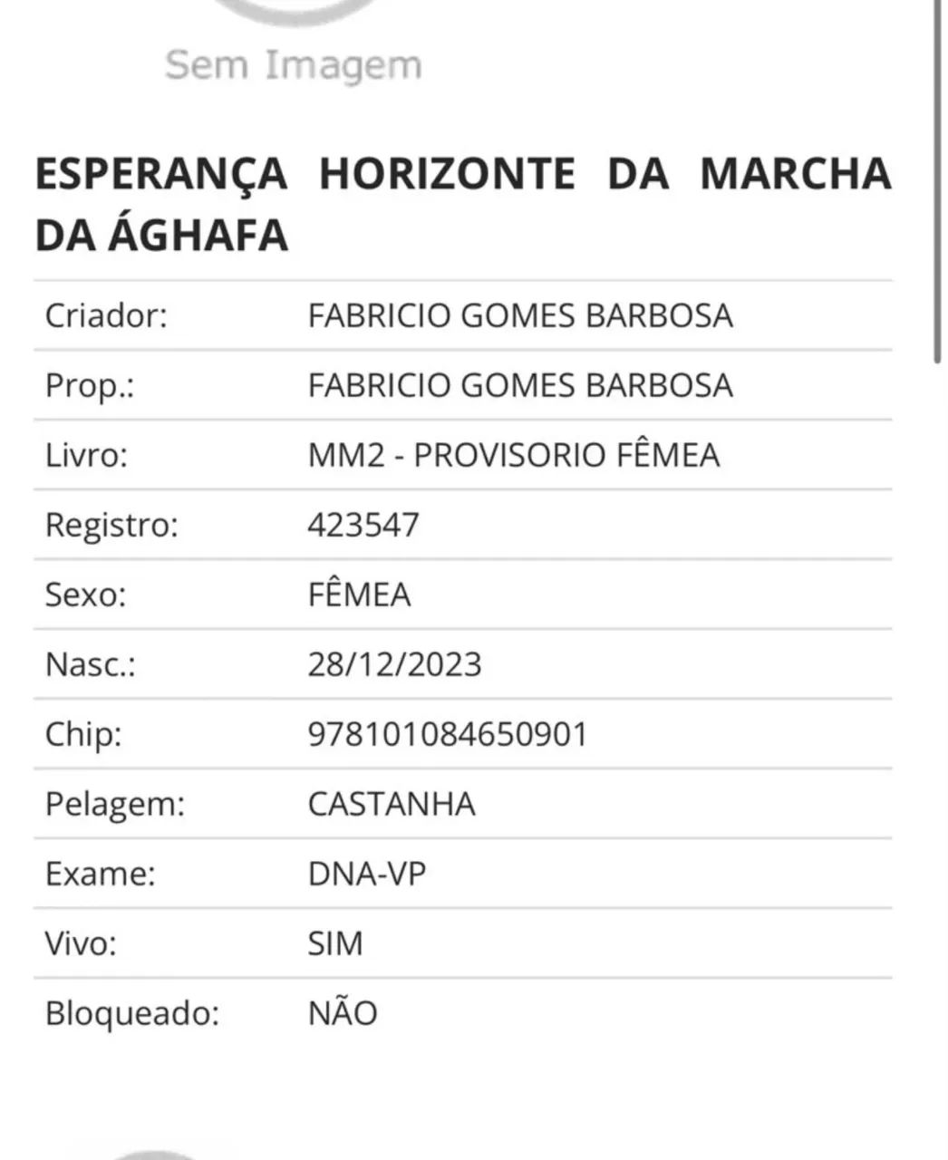 POTRA REGISTRADA- MARCHA BATIDA  - Foto 3