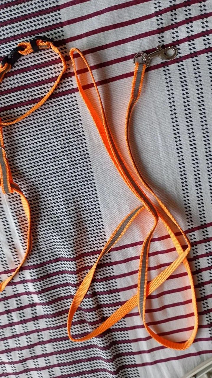 Pet Harness64962123567618122