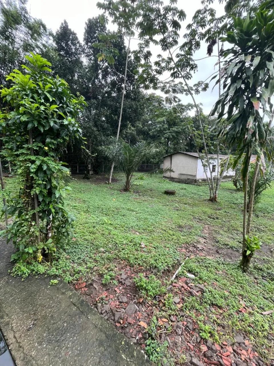 Sítio em Barão de Guandu - Foto 4
