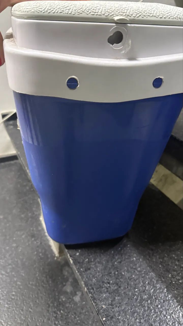 Caixa Térmica 32 litros Dolfin Grande  - Foto 4