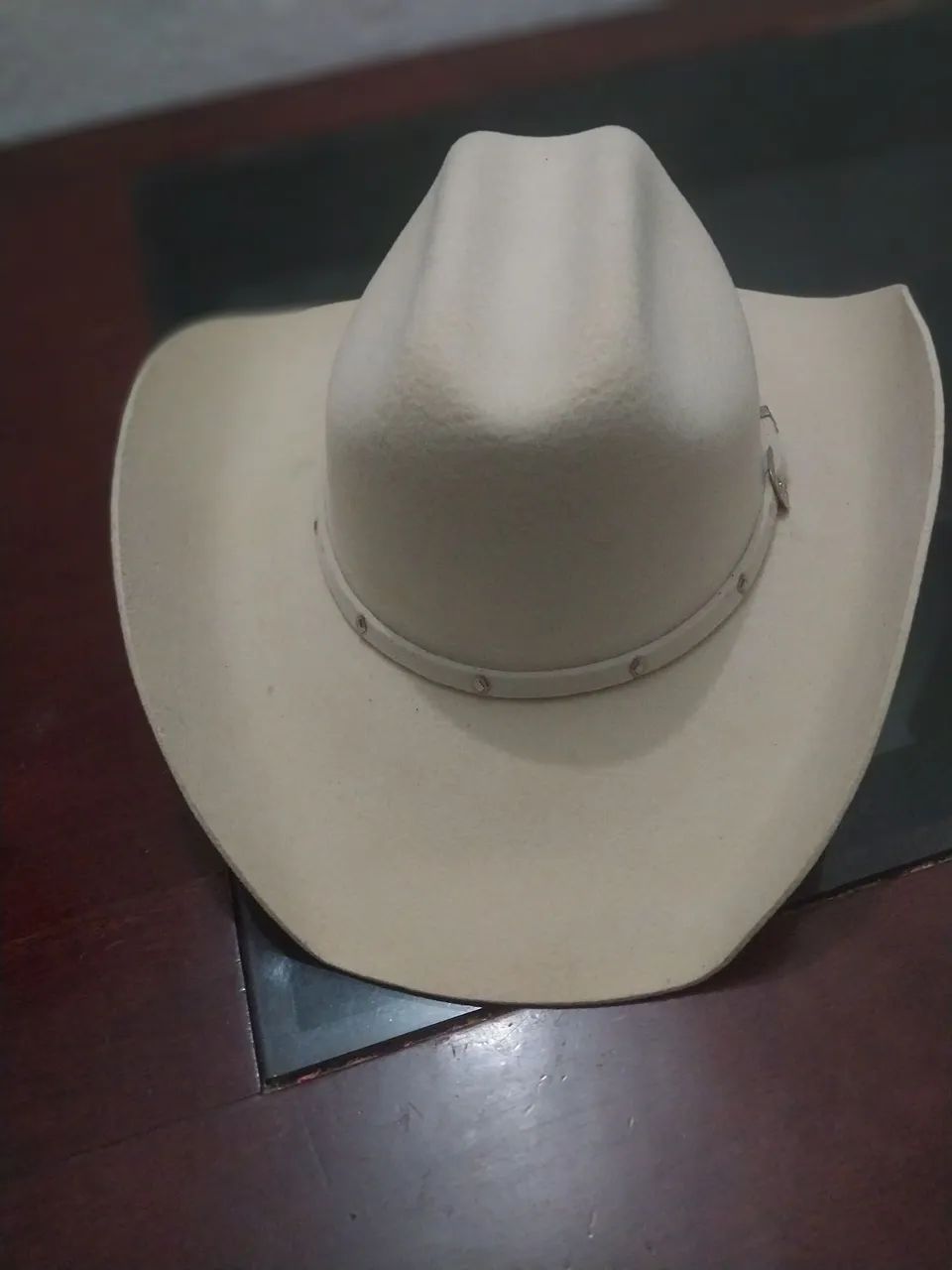 Chapéu novo - Foto 3