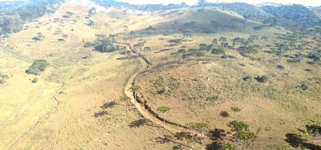 Fazenda em São Joaquim- Serra Catarinense- 182 hectares - Foto 5