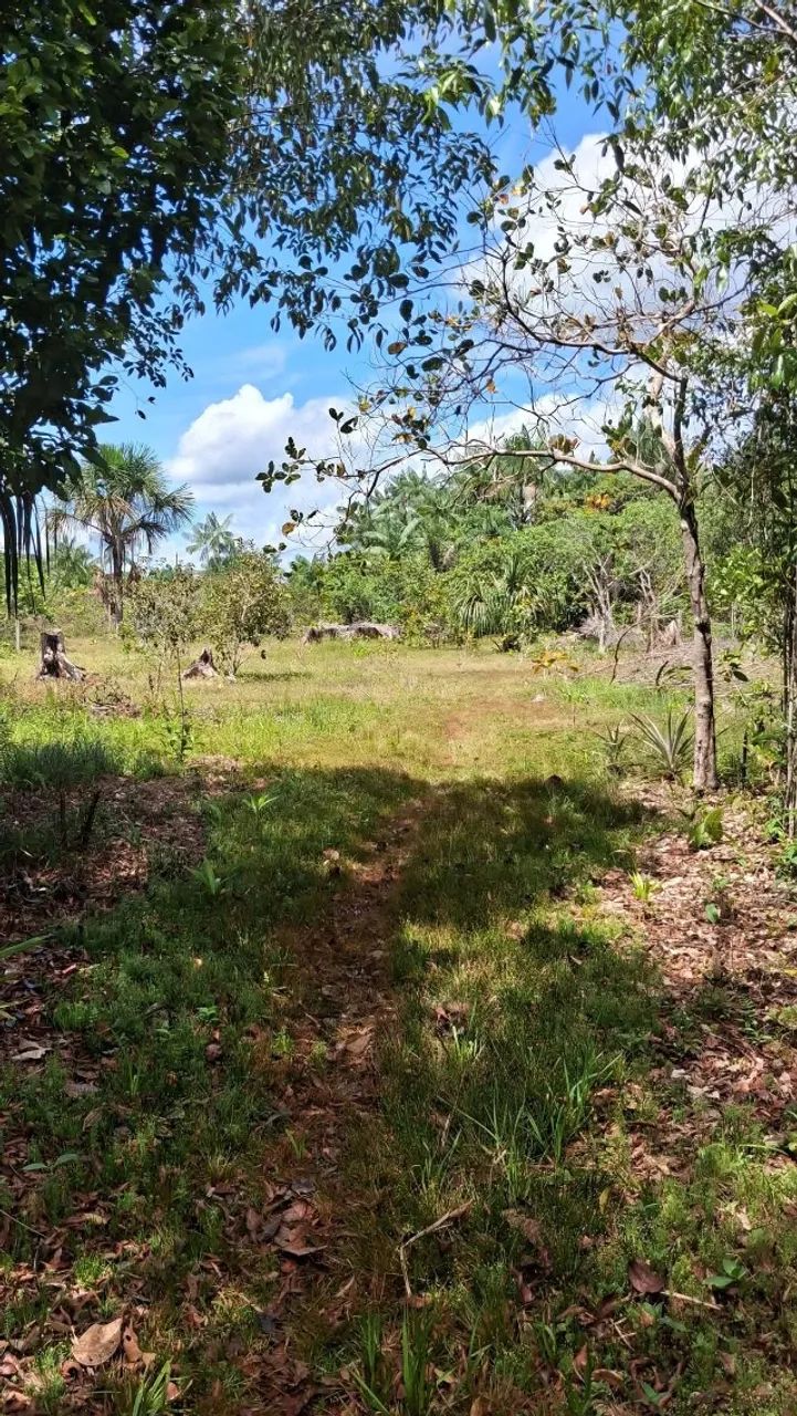 Vende-se terreno comunidade ramal da morena km 13 estrada de Balbina  - Foto 3
