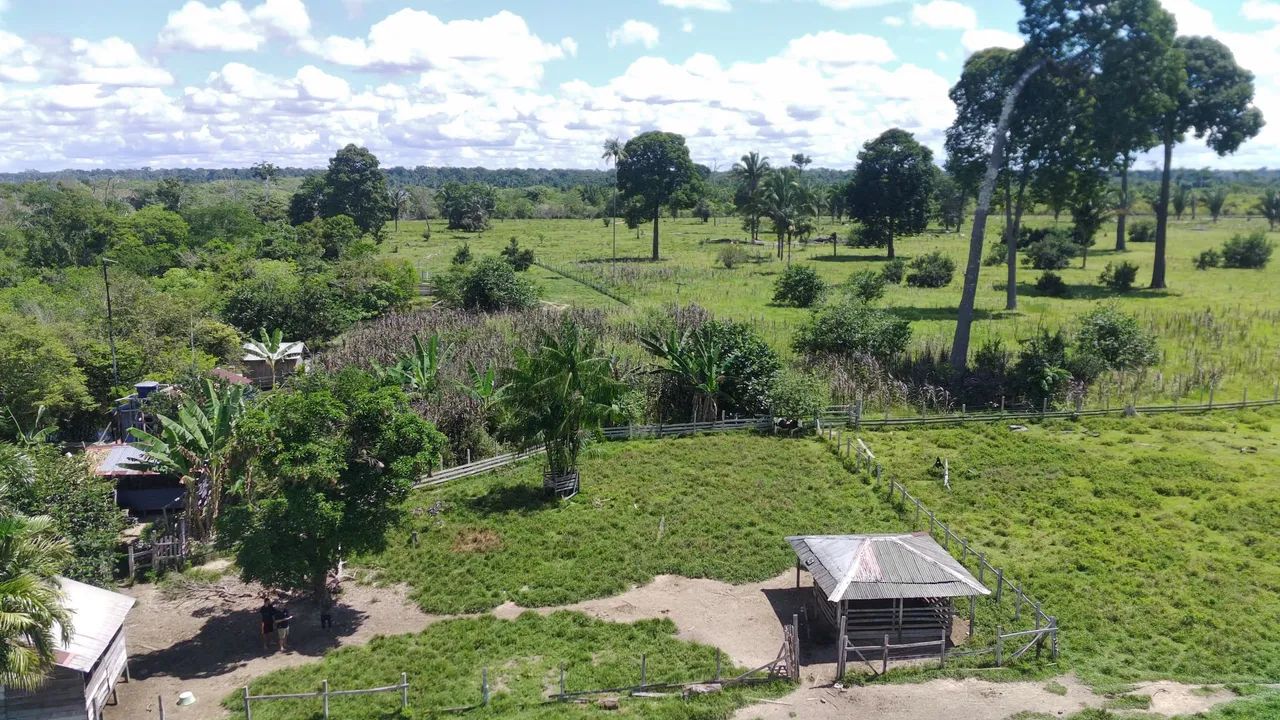 Fazenda no Rio Ituxi - Foto 2