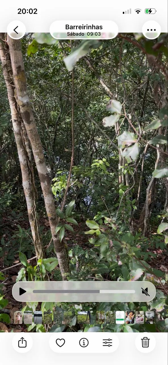 Terreno em Barreirinhas  - Foto 4