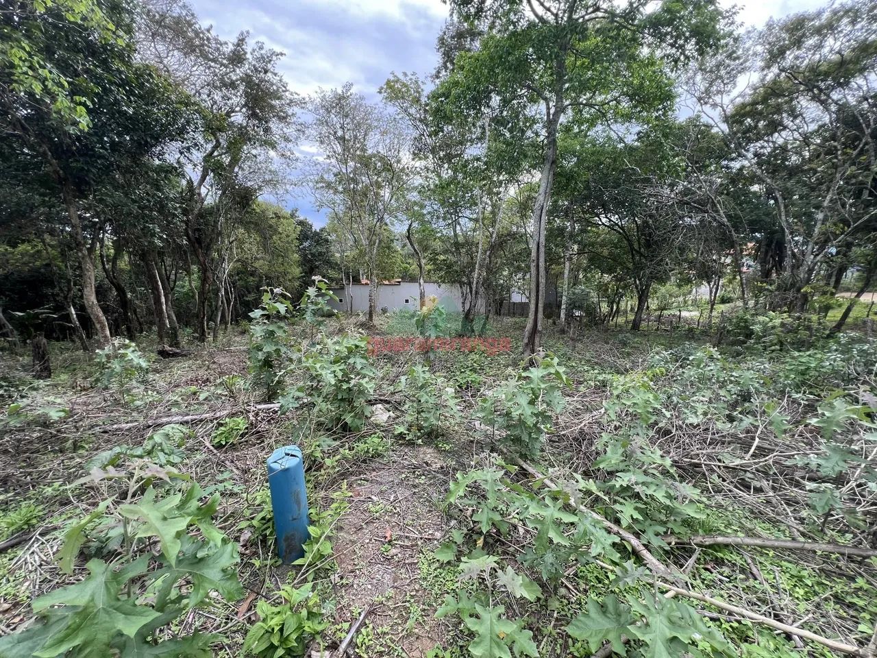 TERRENO PLANO COM POÇO PROFUNDO - Foto 2