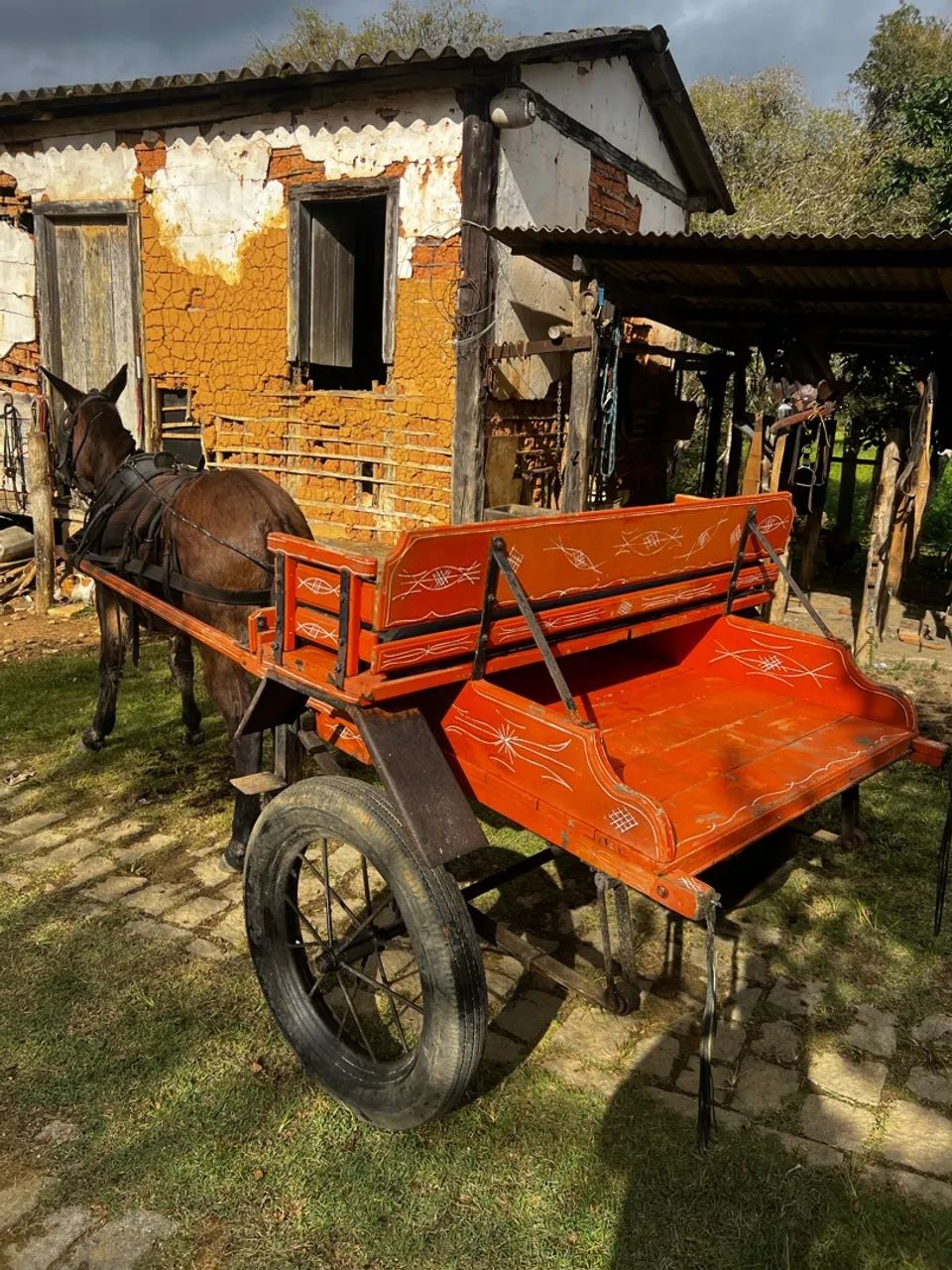Charrete é Burro VENDO - Foto 5