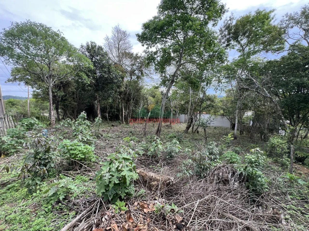 TERRENO PLANO COM POÇO PROFUNDO - Foto 5
