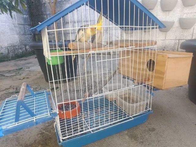 Gaiola - Foto 3