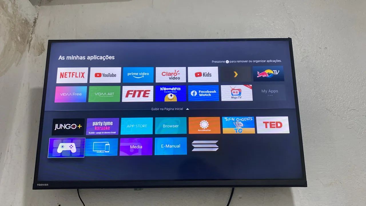Televisão
