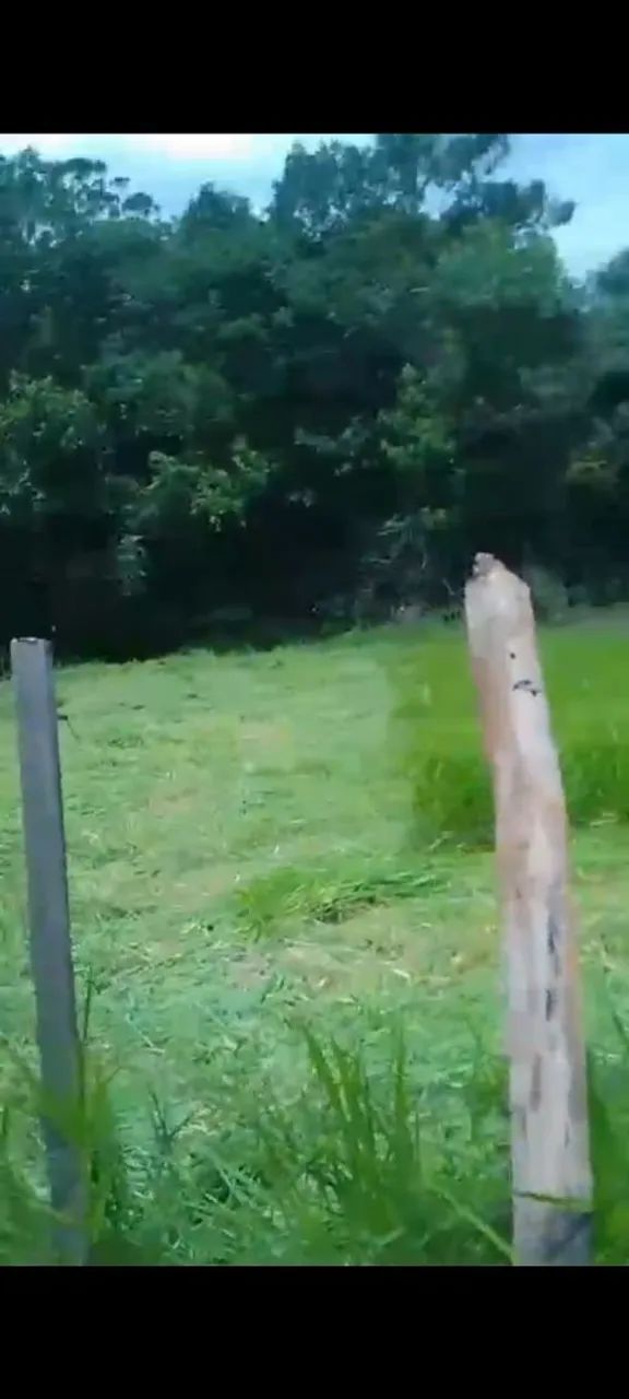 Terreno em pilar do sul - Foto 2