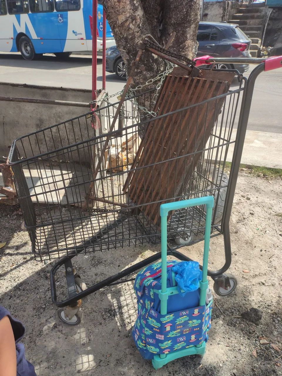 Carrinho de supermercado 