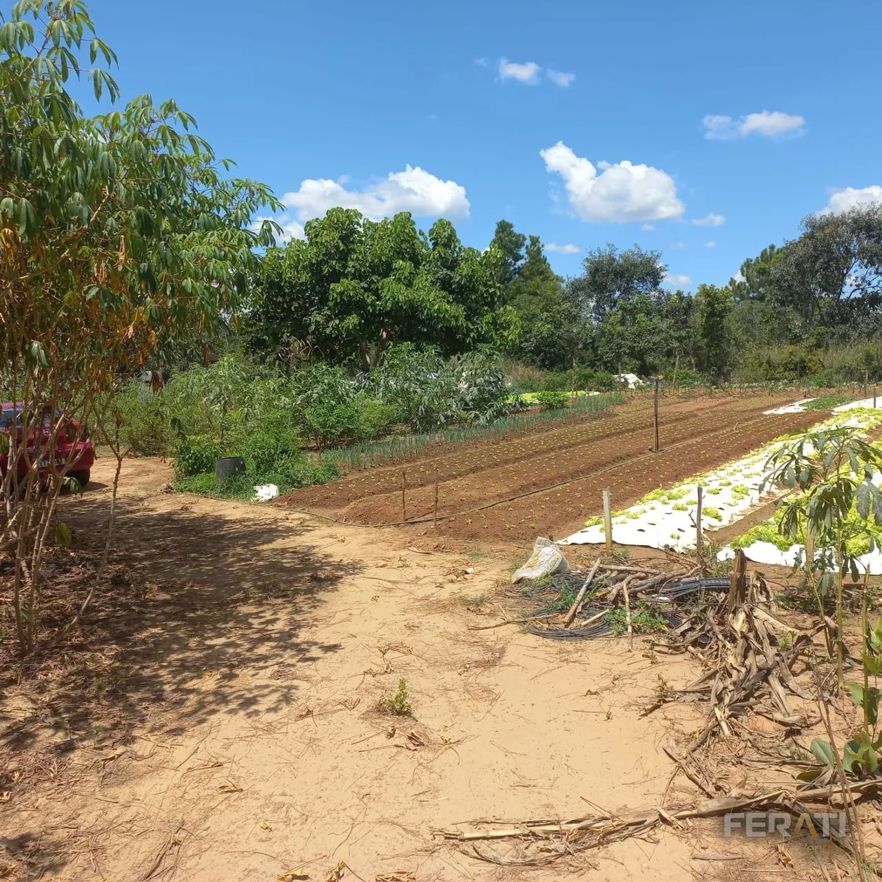 Venda Lote Caldas Novas - Foto 3