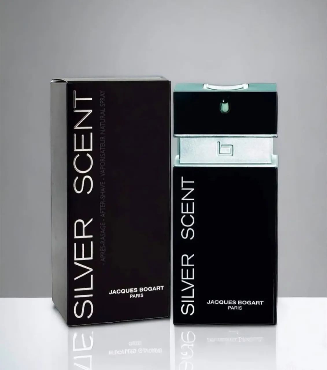 PERFUME SILVER SCENT MASCULINO EAU DE TOILETTE 100ML